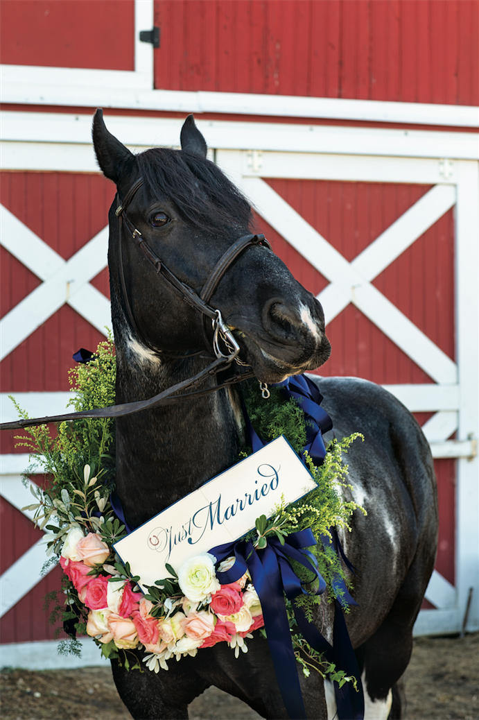 07_-_Kentucky_Derby_Wedding_Horse.png