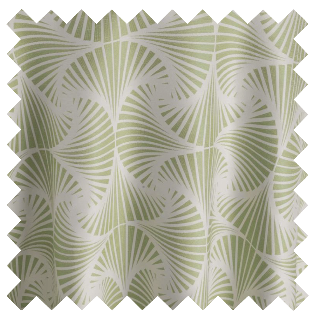 Parasol Kiwi