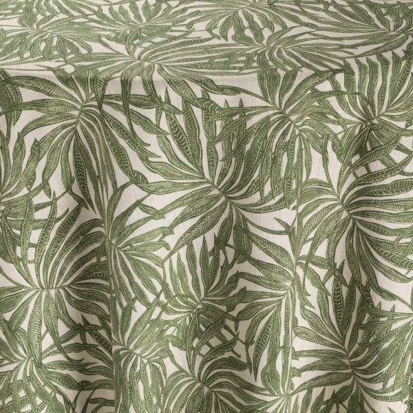 Areca Jungle