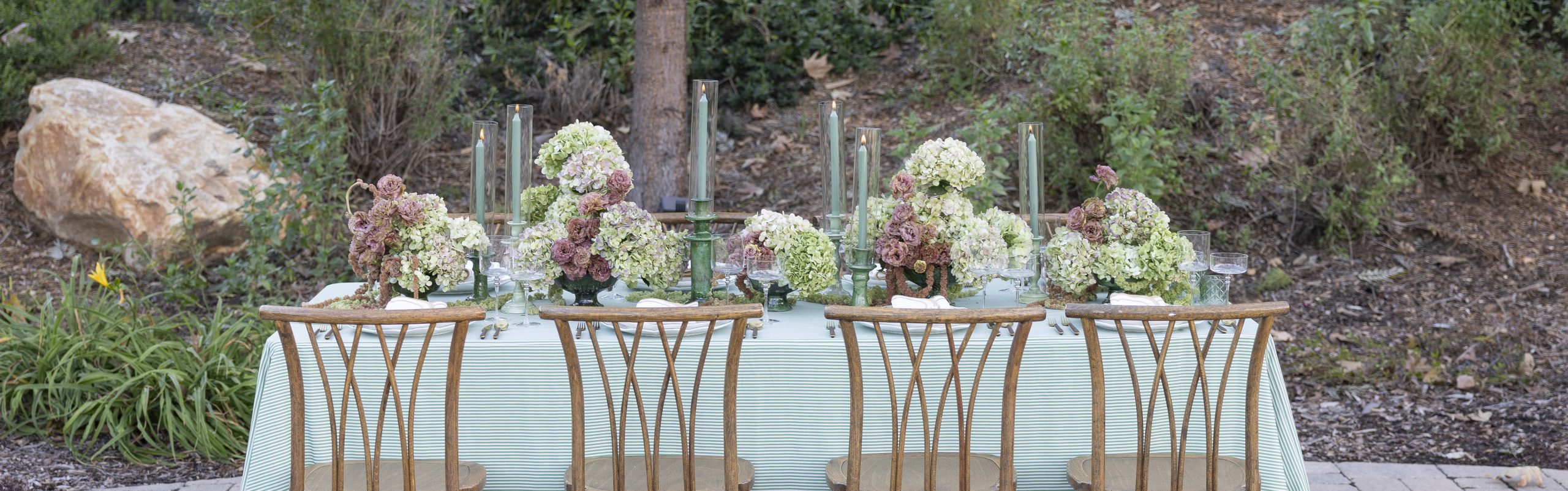 Summerlight-Blog-Header