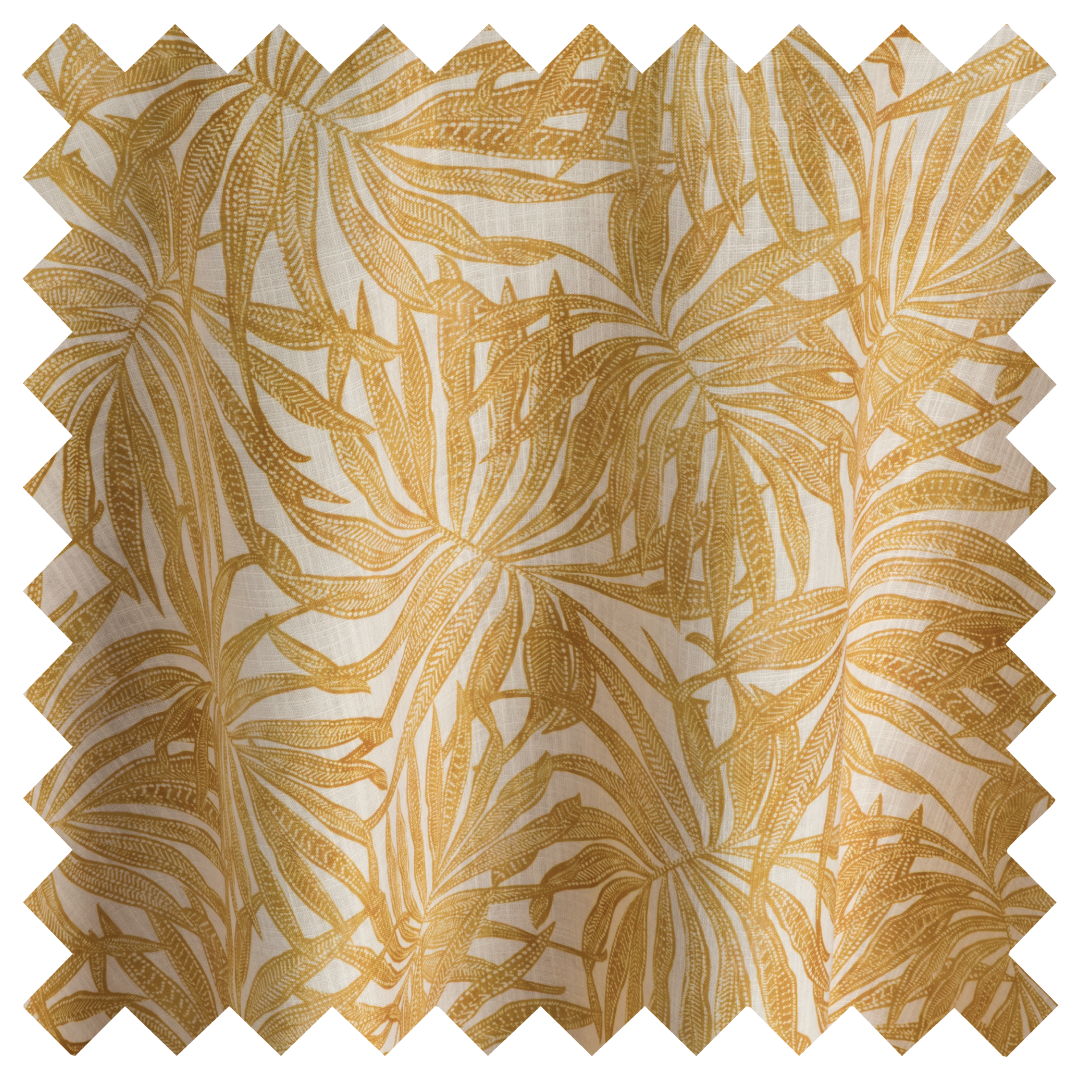 Areca Golden