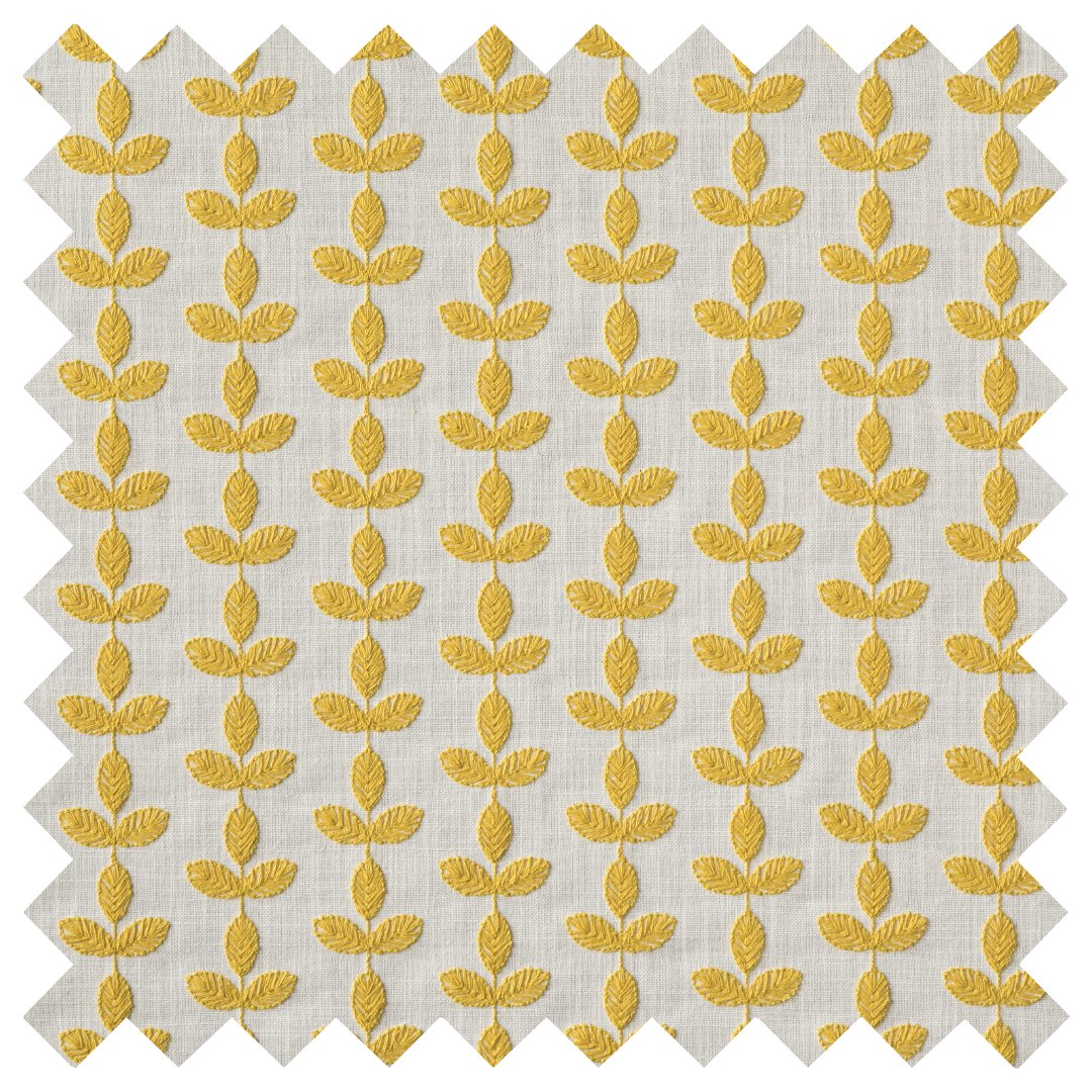 Santolina Golden